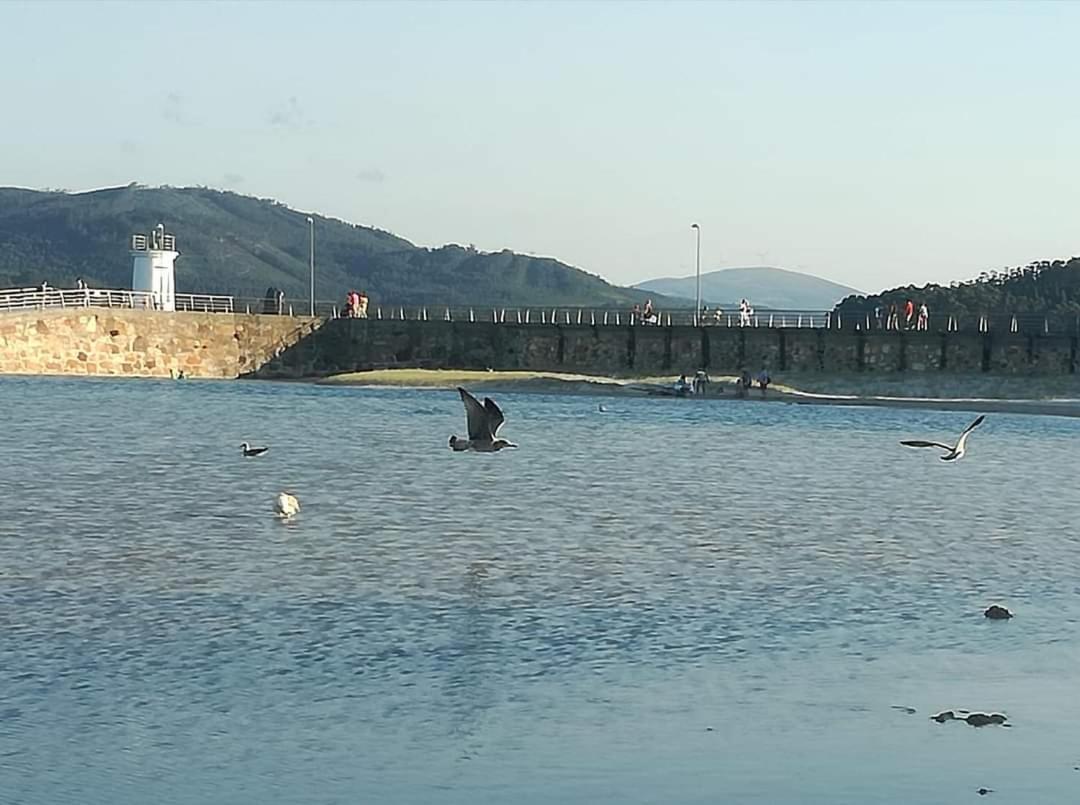 Foz, Ven Y Disfruta Galicia Διαμέρισμα Εξωτερικό φωτογραφία